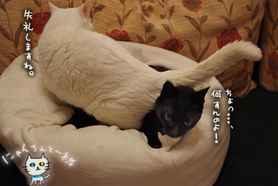 ぼくのもの_e0031853_20122091.jpg