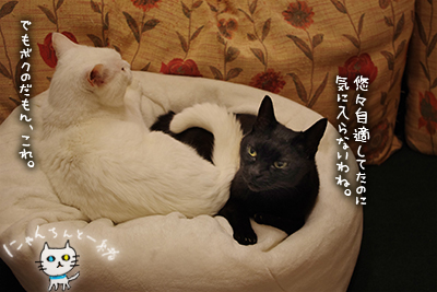 ぼくのもの_e0031853_20125632.jpg