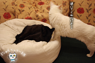 ぼくのもの_e0031853_2094945.jpg