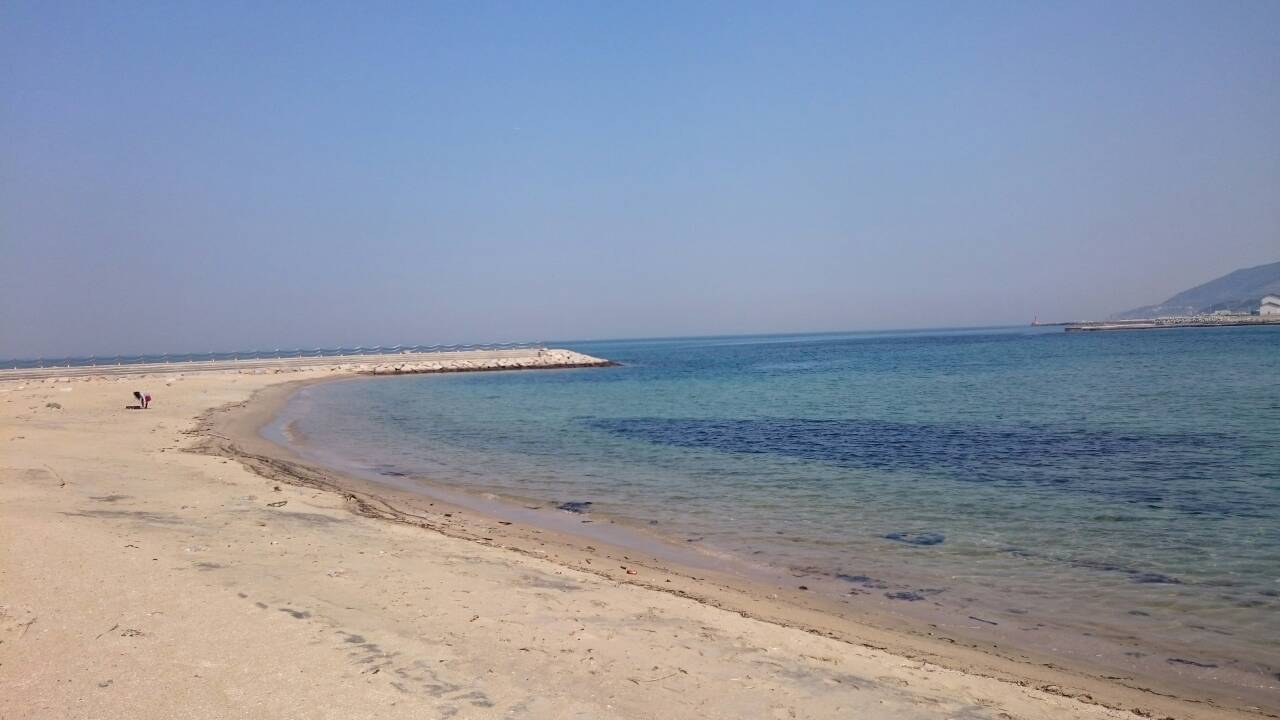 c0165255_20503046.jpg