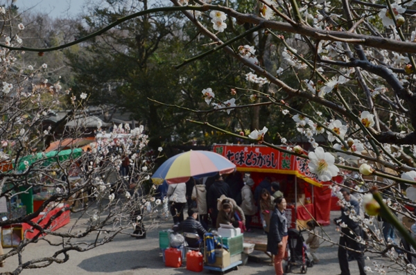 深大寺の「だるま市」_e0020957_208568.jpg