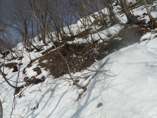 c0294658_21354313.jpg