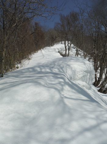 c0294658_21590363.jpg