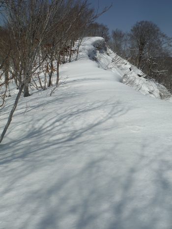 c0294658_21592376.jpg