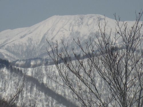 c0294658_22163268.jpg