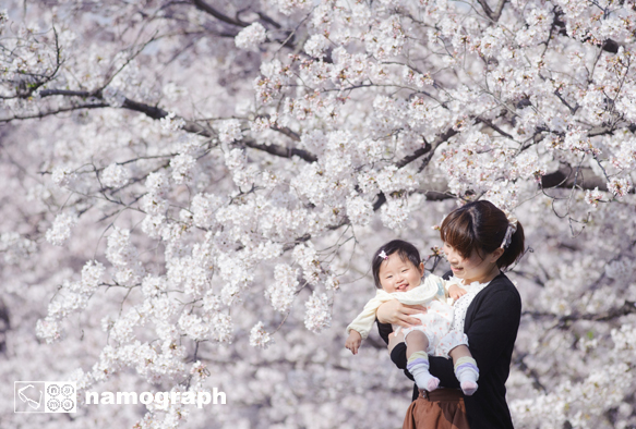 桜の季節 撮影受付中_a0165860_14484994.jpg