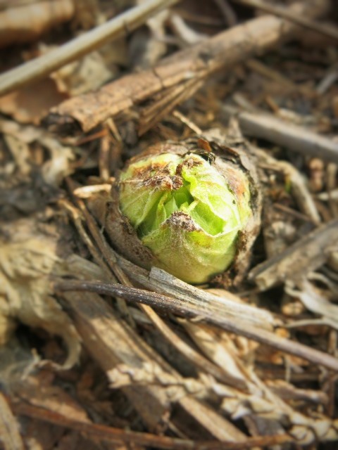 f0236260_21234152.jpg