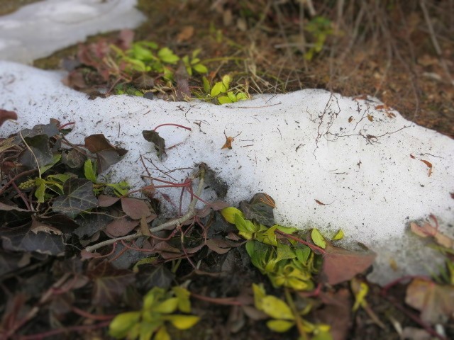 f0236260_21434952.jpg