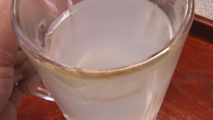 手打蕎麦なら蕎麦湯飲み放題_b0208961_1013891.jpg