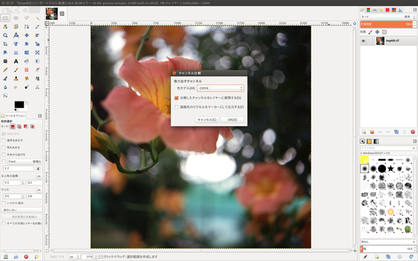 GIMPでCMYK分解するワークフロー_e0133566_19305278.jpg