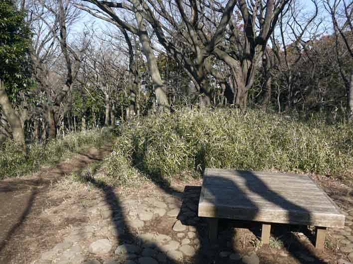 岩瀬中学校３年生１４０人と六国見山手入れでコラボ３・２_c0014967_1134395.jpg