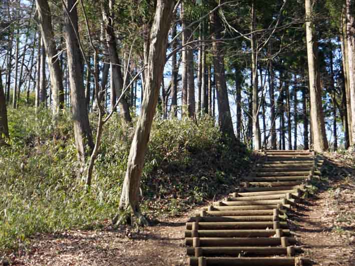 岩瀬中学校３年生１４０人と六国見山手入れでコラボ３・２_c0014967_11391041.jpg