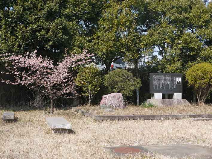 野口初太郎翁頌徳碑の建立地の河津桜が満開3・3_c0014967_15171592.jpg