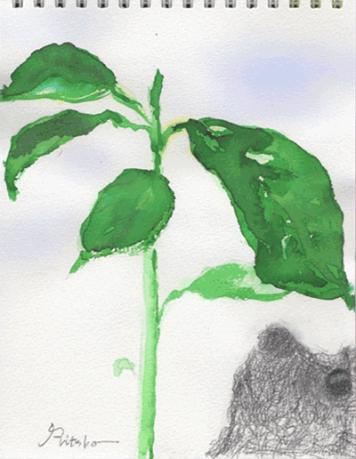 a0211669_13301159.gif