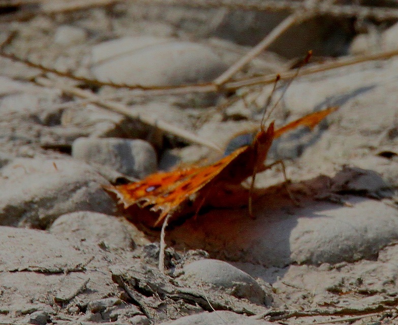 b0320769_18584809.jpg