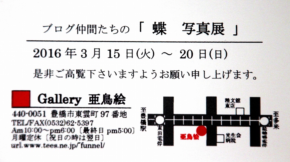 b0320769_19205335.jpg
