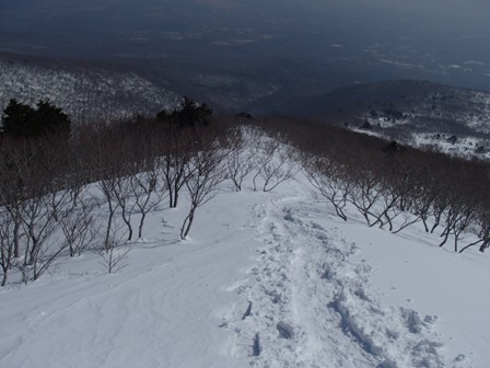 a0344771_21171418.jpg
