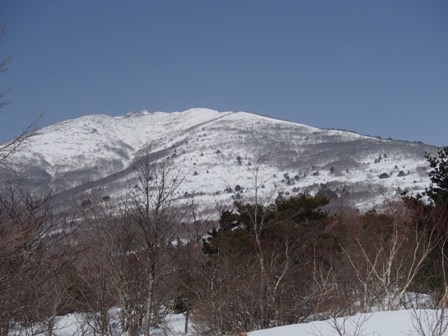 a0344771_21212426.jpg
