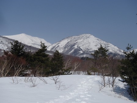 a0344771_21213984.jpg