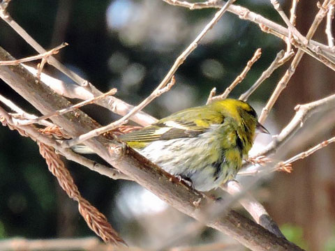 f0083977_16395050.jpg