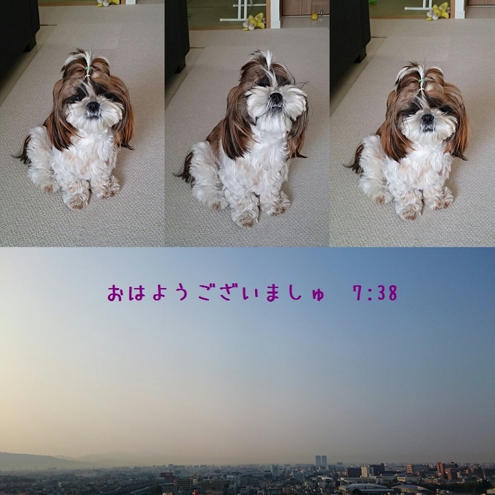 c0363378_15434408.jpg