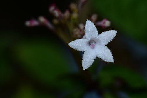 f0348480_16134664.jpg