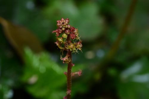 f0348480_164477.jpg