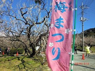 a0185783_16365242.jpg