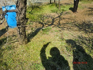 a0185783_1641381.jpg