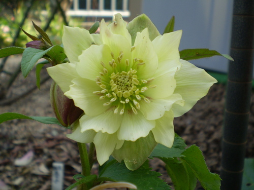 a0135990_2112430.jpg