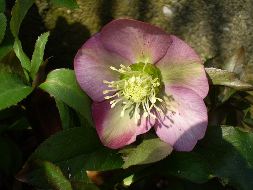 a0135990_2173935.jpg