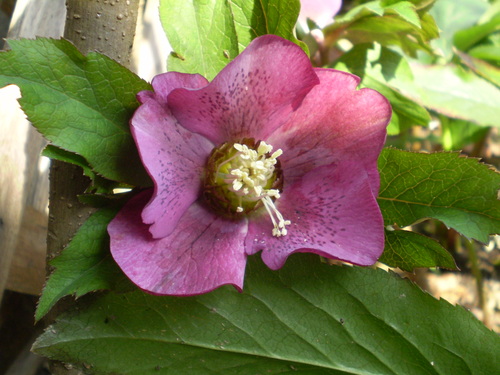 a0135990_2175164.jpg