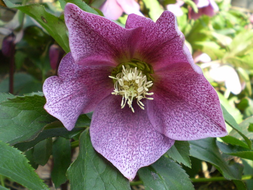 a0135990_2184111.jpg