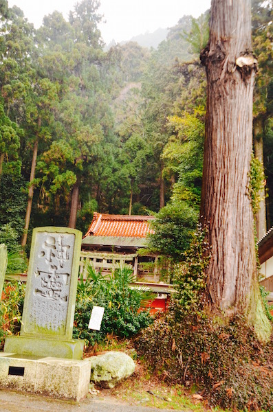 e0111396_229476.jpg