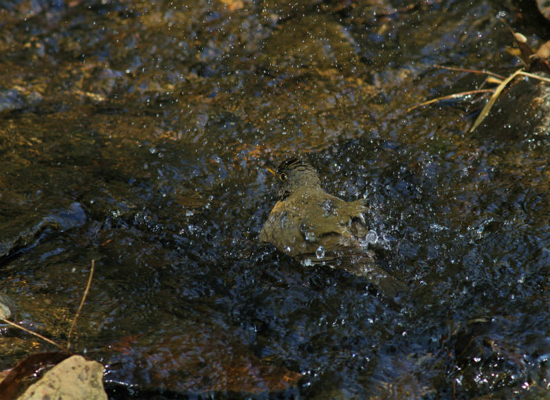b0223198_21372435.jpg