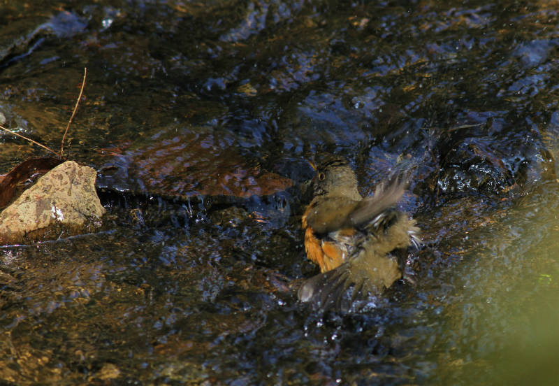 b0223198_21384913.jpg