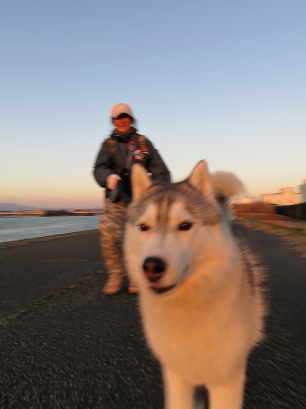 あさんぽは朝日を浴びて♪ (*^_^*)_c0049299_22483430.jpg