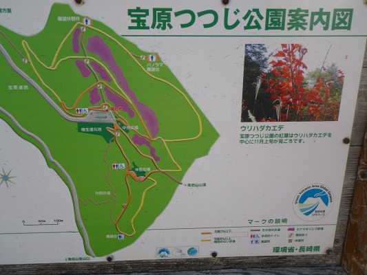 f0187402_8493045.jpg
