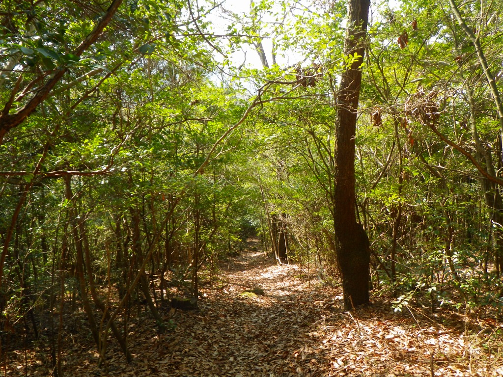f0187402_8545982.jpg