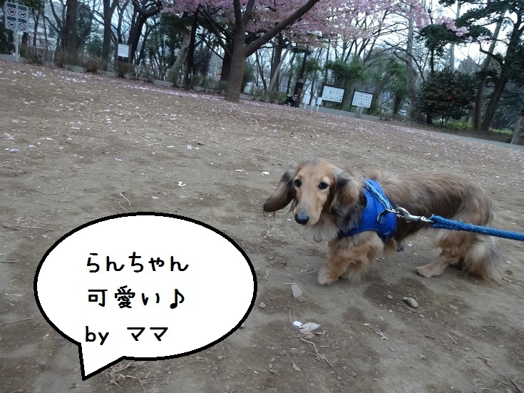 a0332203_12455291.jpg