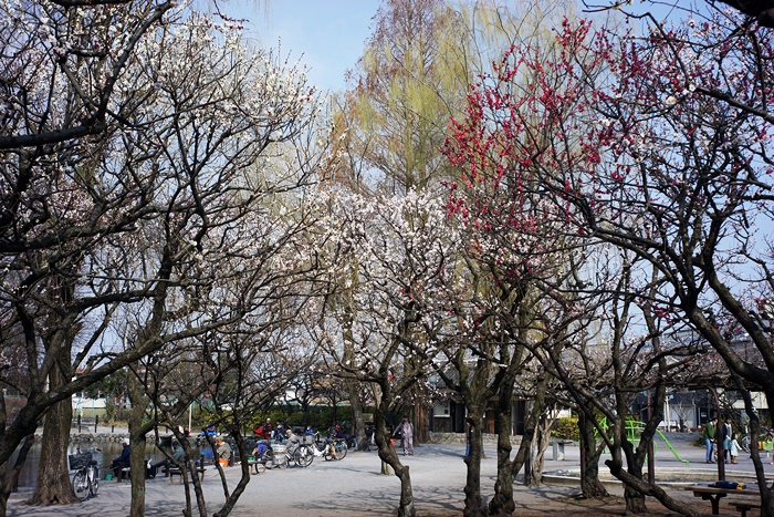 c0187503_20444099.jpg