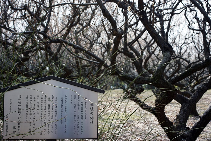c0187503_20472387.jpg