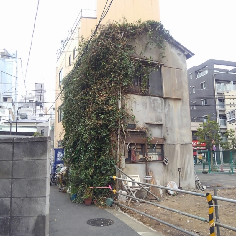 b0042310_21264125.jpg