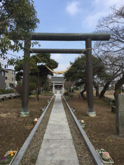 今日はお祓い_b0176010_16053889.jpg