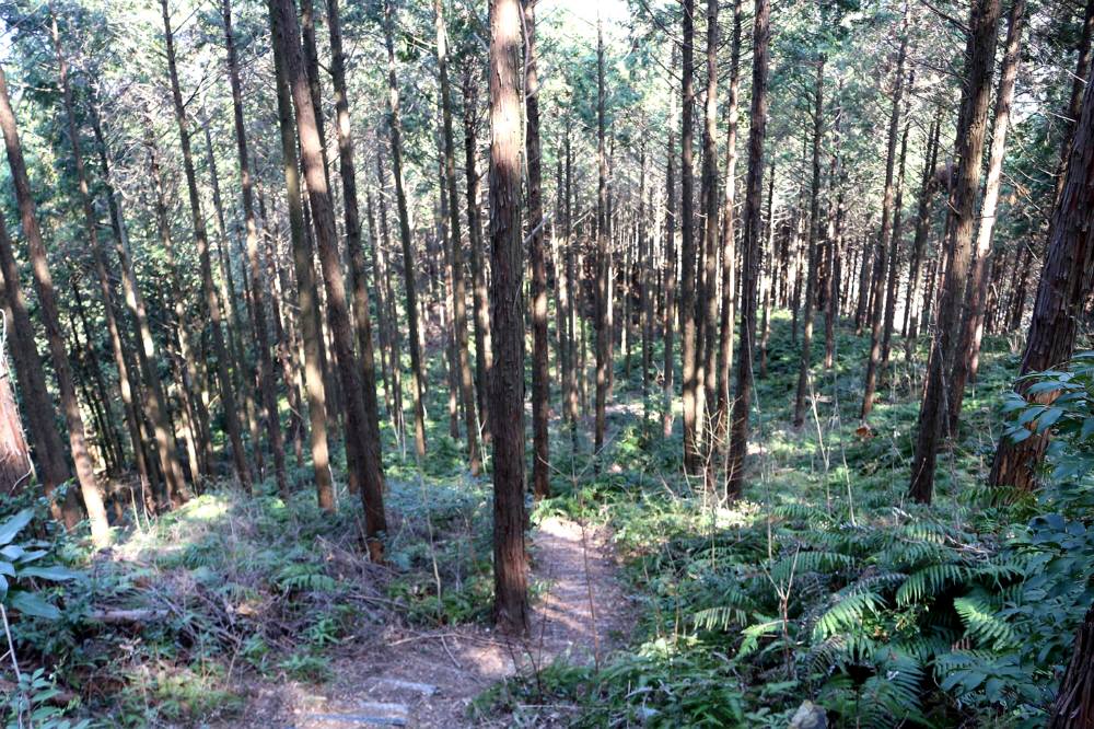 f0212511_175510.jpg