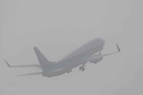 c0148812_1921664.jpg