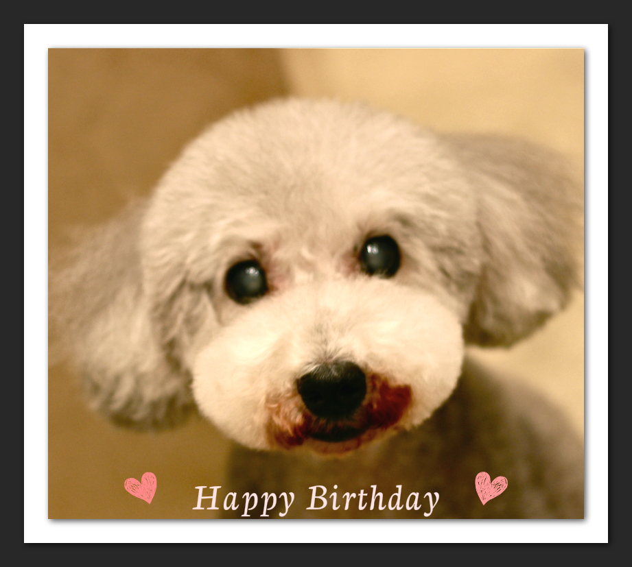Happy Birthday♡パティちゃん_d0060413_14104021.jpg