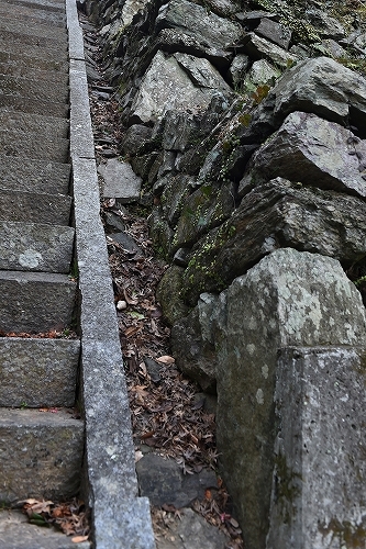 c0168815_21240398.jpg