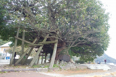 f0193521_2041368.jpg