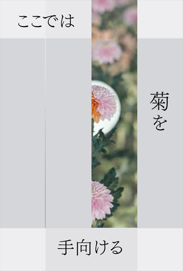 山本顕史さん 展覧会「ここでは菊を手向ける」_b0187229_1053174.jpg